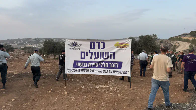 כרם השועלים לזכר חללי סיירת גבעתי
