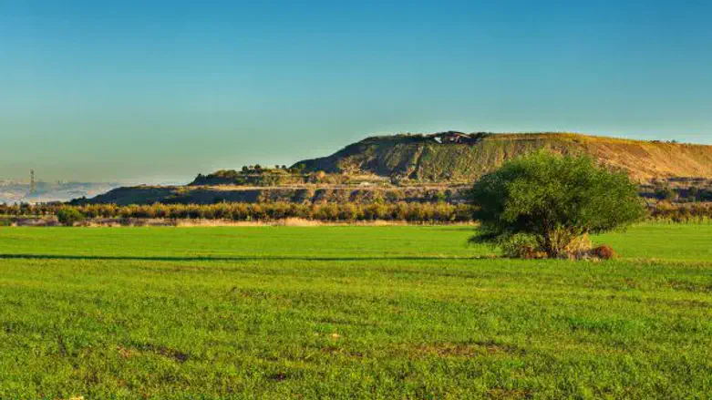 יום ילדים נגיש במרכז