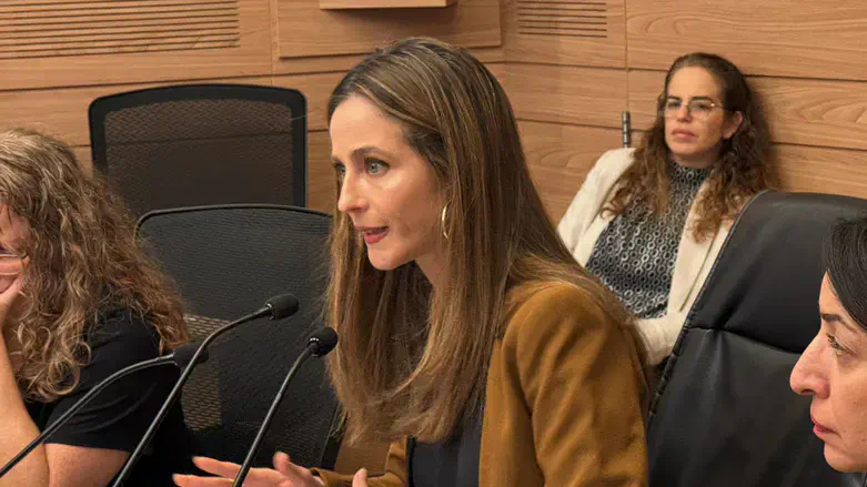 ח"כ מירב כהן