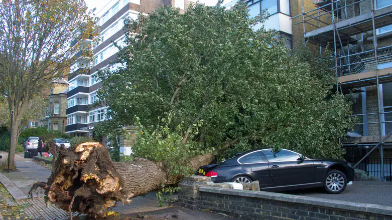 Tee collapse. Illustration.