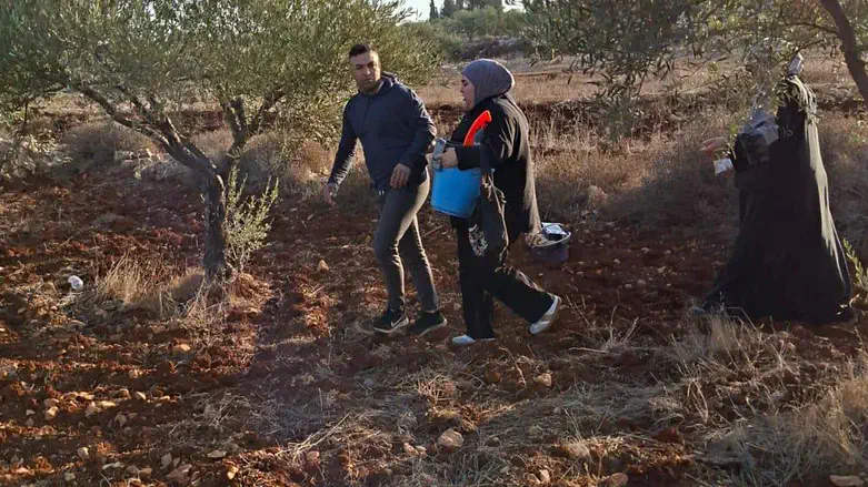 Араб, участвовавший в нападении на владельца фермы