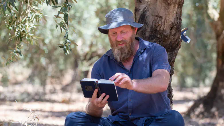 נתנאל אלינסון