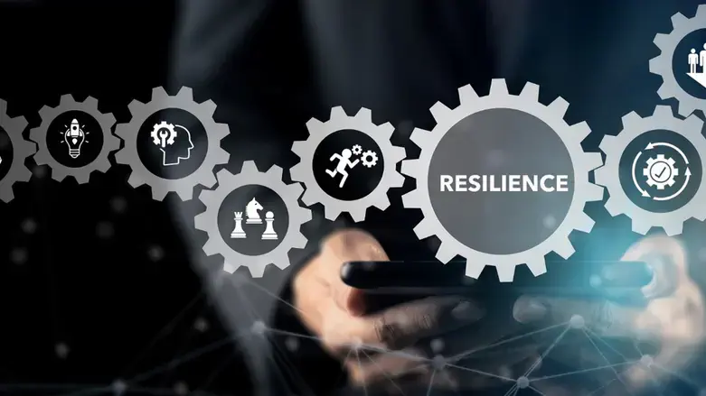 חוסן ארגוני