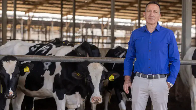 איציק שניידר, מנכ"ל מועצת החלב
