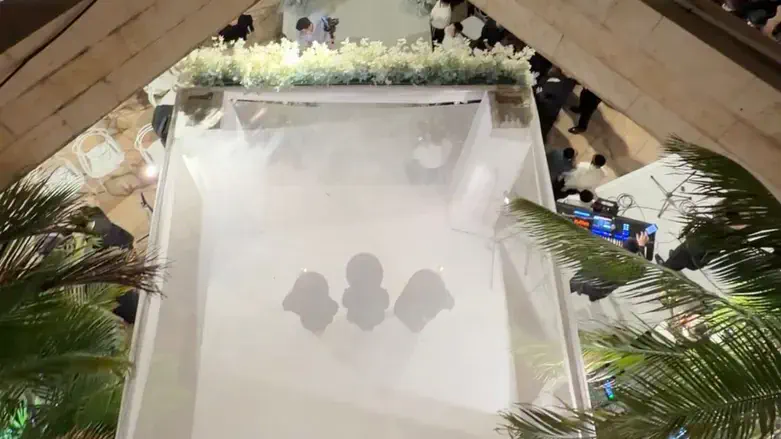 החתונה בה נערכה השיחה