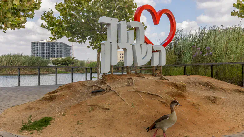 Ход ха-Шарон