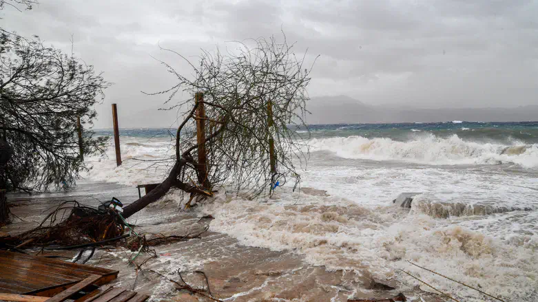 סופה, ארכיון