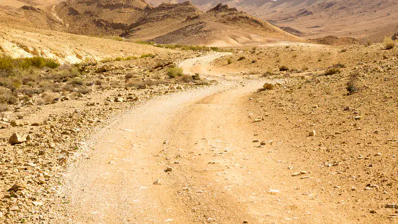 המסלולים נפתחים למטיילים. אילוסטרציה