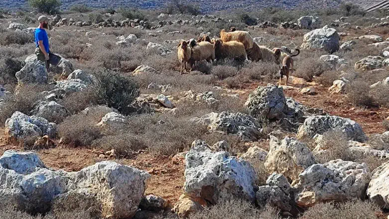 מתחברים לחוות
