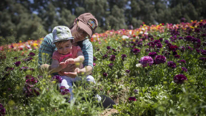 Enjoying flowers (illustrative)