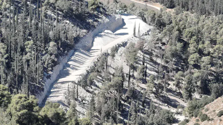 הפרויקט החדש