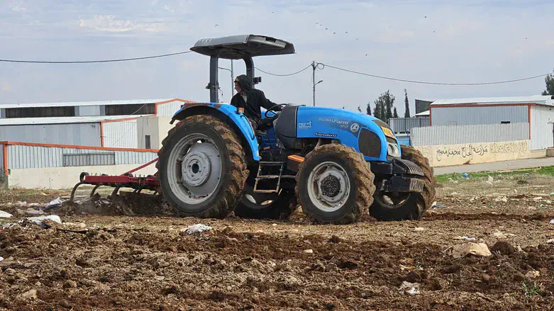 חריש יהודי בפאתי הכפר דיר דבוואן