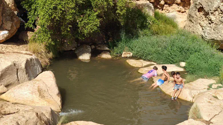 מים שבו לזרום בנחל פצאל