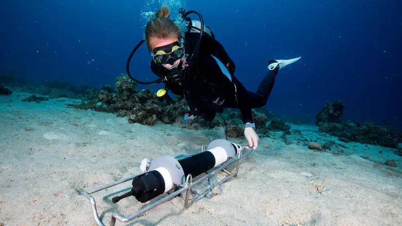 Researchers deploy an instrument near the reef in Eilat to record water currents