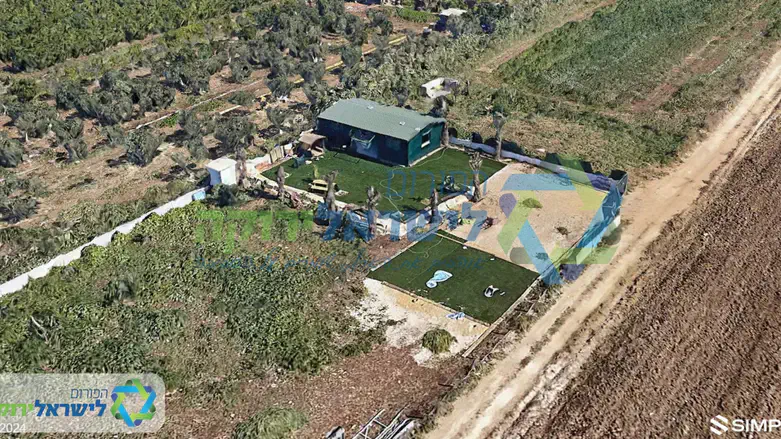 פיראטים לאור יום