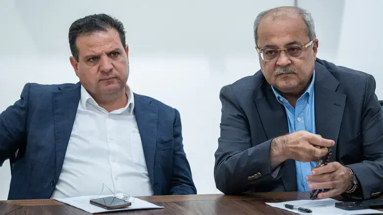 Ахмад Тиби и Айман Удэ