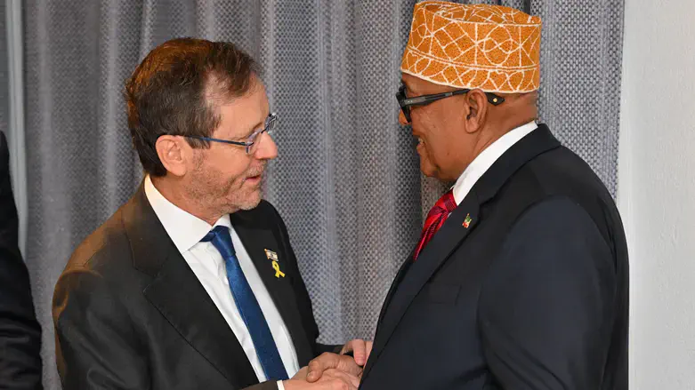 Herzog with the President of Somaliland