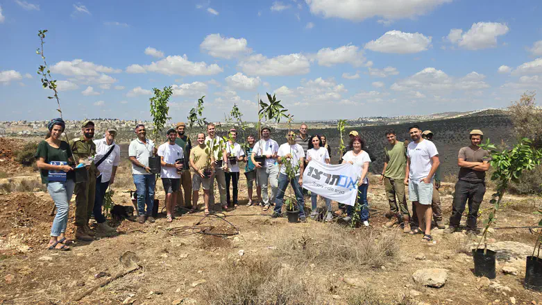 נטיעות לזכר הנופלים