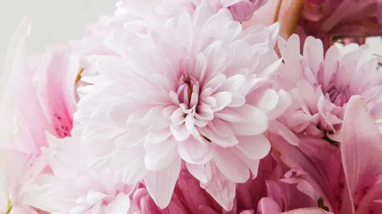 Flower Delivery to Australia and Beyond