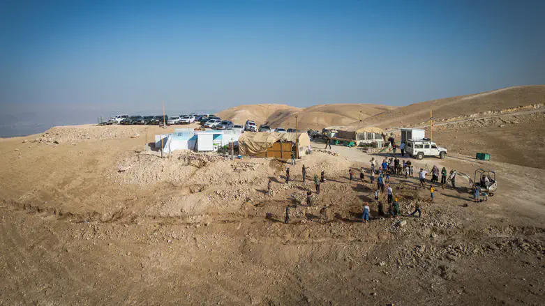 חלוצי החוות