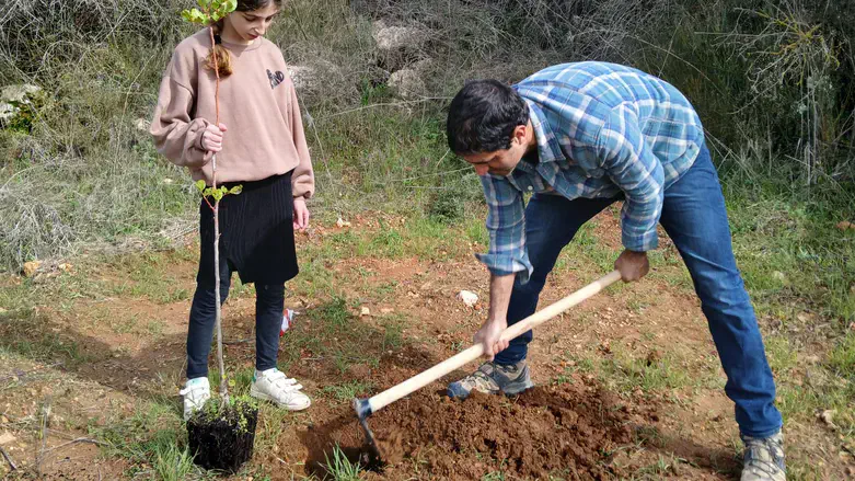 נטיעות לזכרו של אלעד פינגרהוט הי"ד