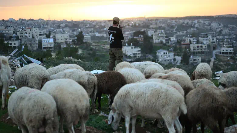 Jewish farm in Gush Etzion