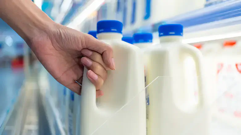 הרפורמה בחלב לא תפגע ברמת הכשרות