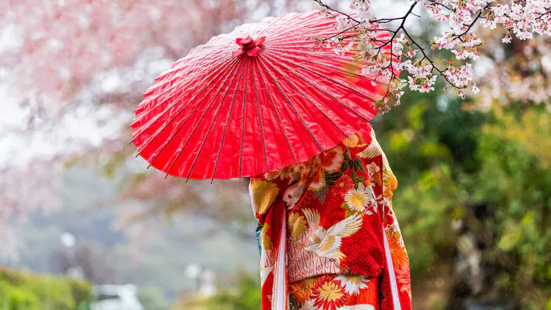 אילוסטרציה