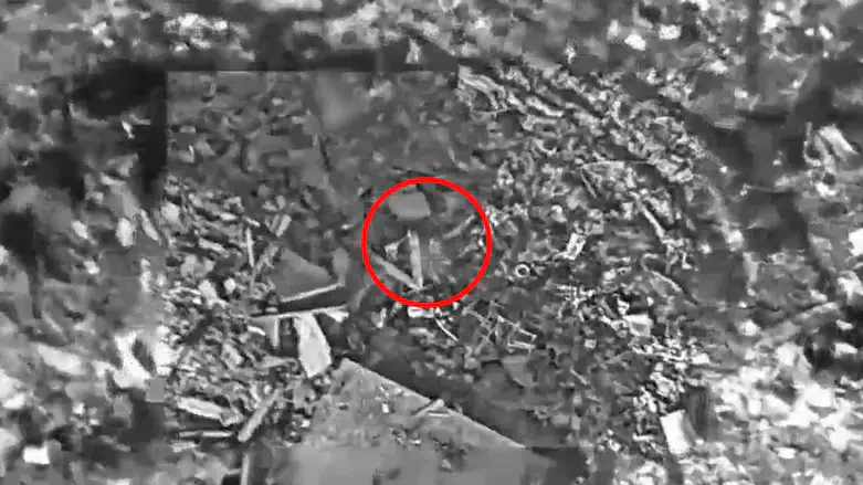 Выявление и ликвидация террористов