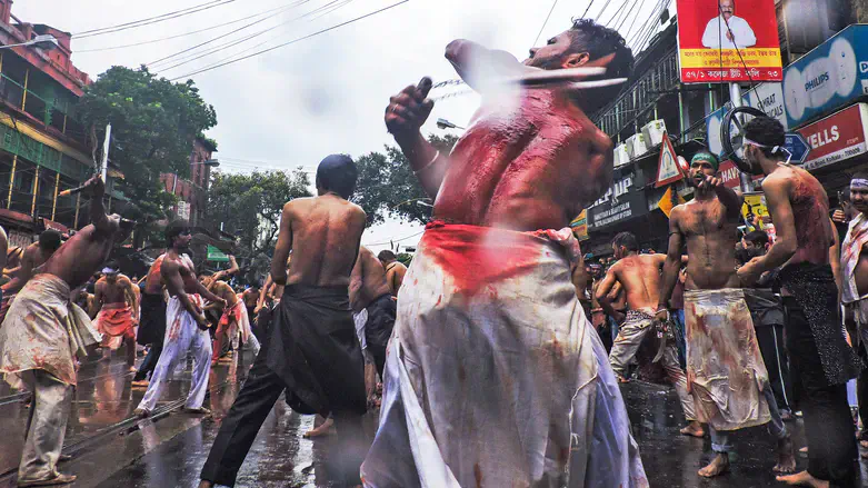 Shi'ites beat themselves bloody during Ashura