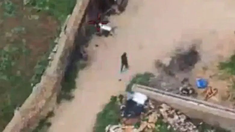 IDF eliminates Hezbollah terrorist in Lebanon