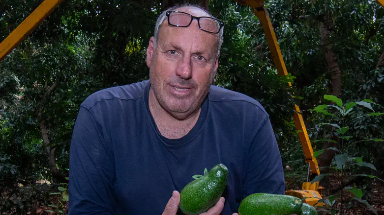 עופר (פושקו) מוסקוביץ