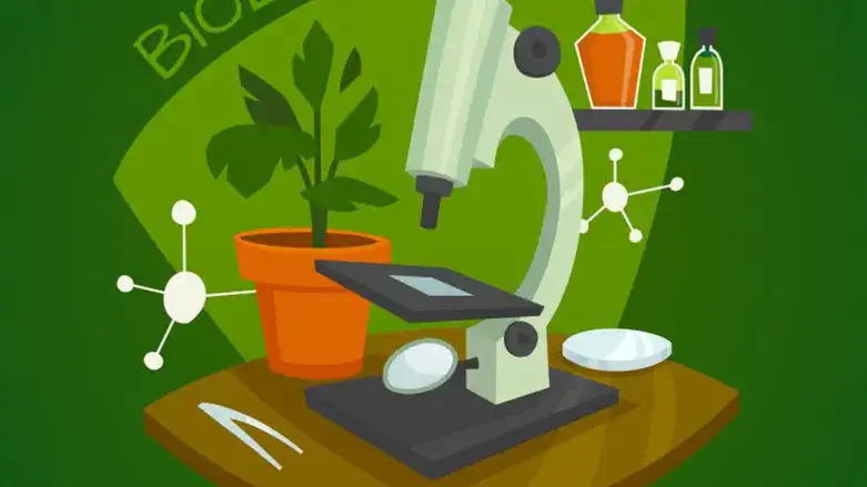 תואר בבילוגיה