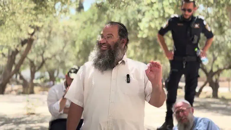 הרב מאיר גולדמינץ'