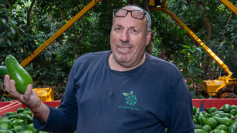 עופר (פושקו) מוסקוביץ