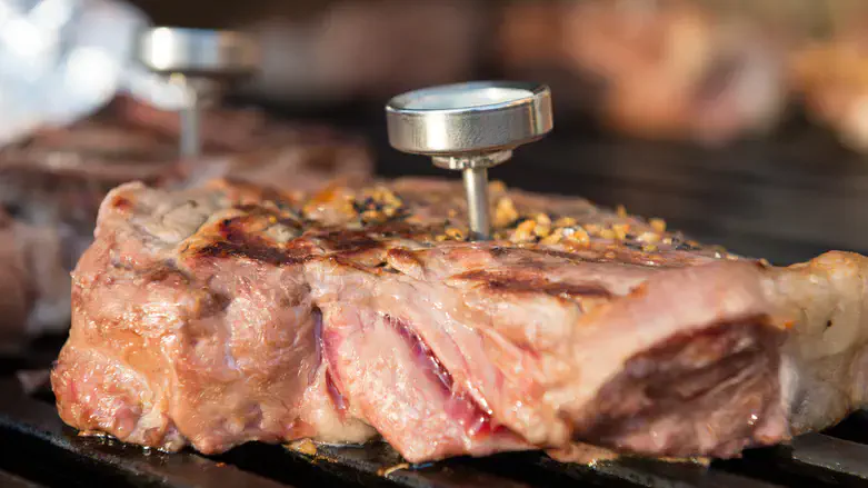 Wireless meat thermometers