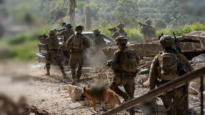IDF soldiers