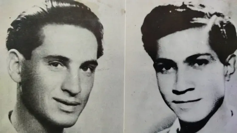 ברזני ופיינשטיין