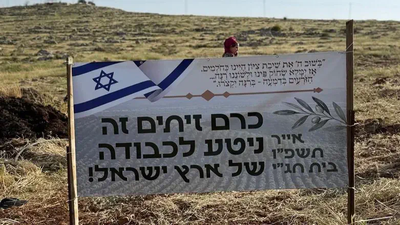 הכרם שניטע בבית חג"י