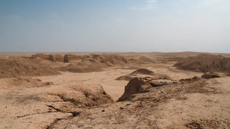 صحراء العراق