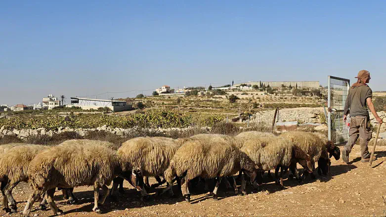 רועה צאן יהודי