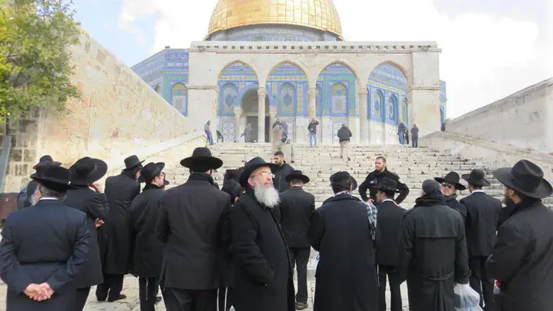 Haredim on the Temple Mount
