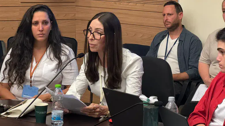 Knesset discussion on Yavne'el