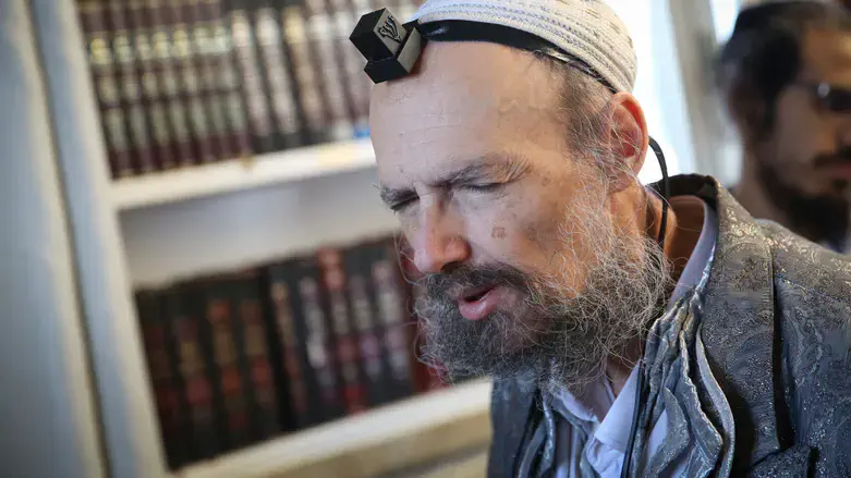 הרב דב קוק