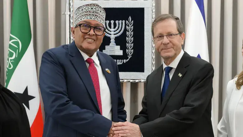 President Herzog with Somaliland President Abdirahman Mohamed Abdillahi