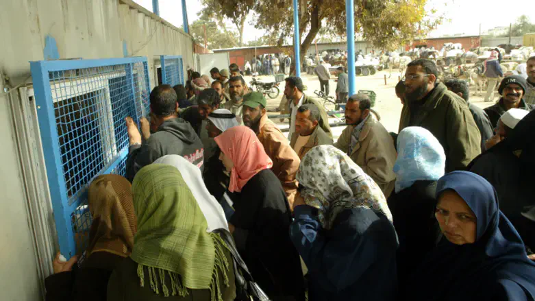 Gazans, illustration