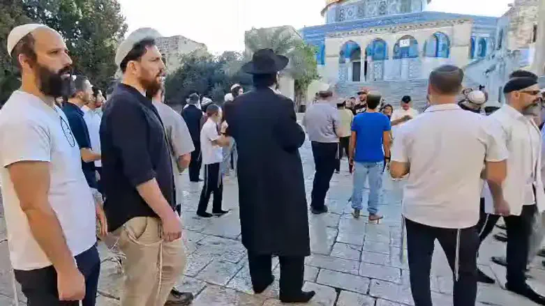 Jews on Temple Mount
