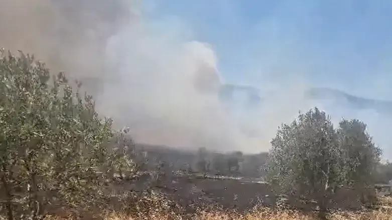 The fire near Elon Moreh