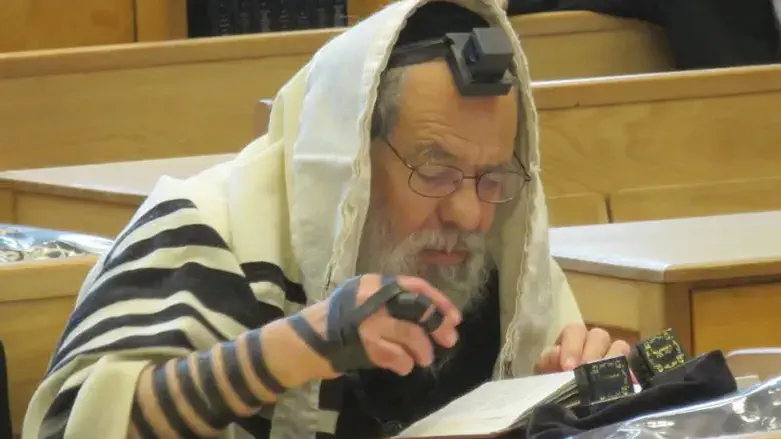 הנפטר