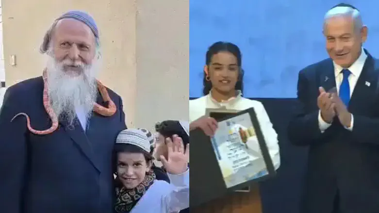 הרב שמידט והנחש, ואמונה כהן בחידון